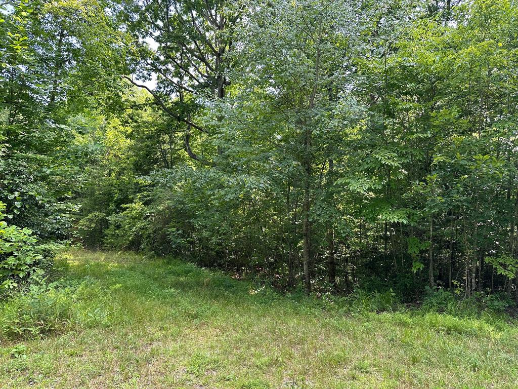 409477 Morganton Land