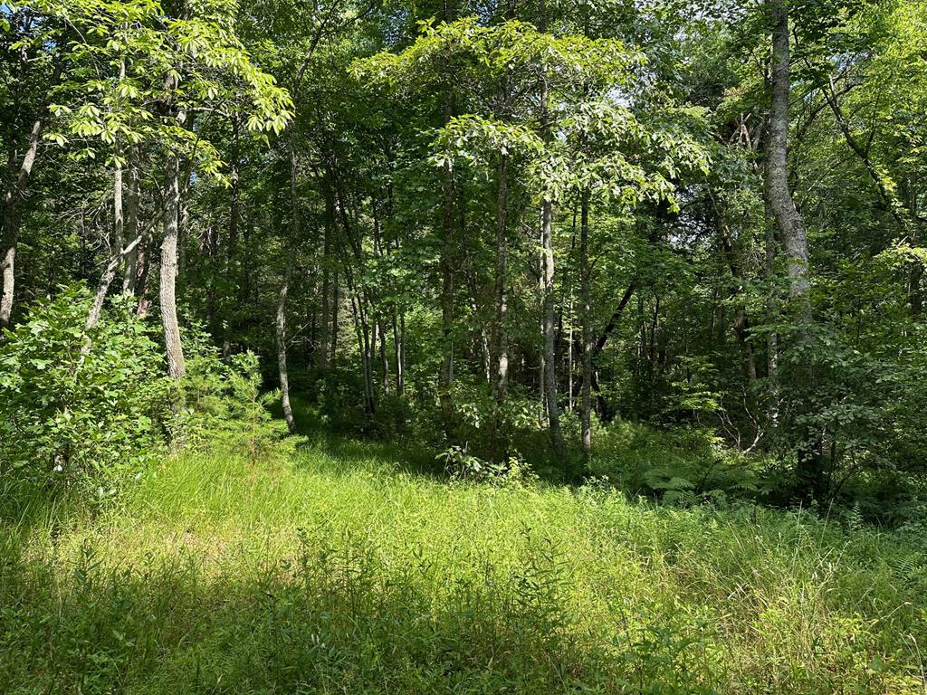 409477 Morganton Land