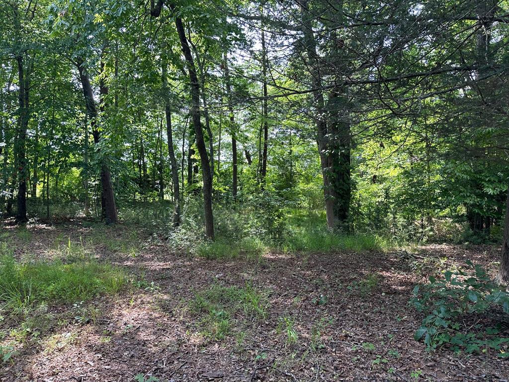 409477 Morganton Land