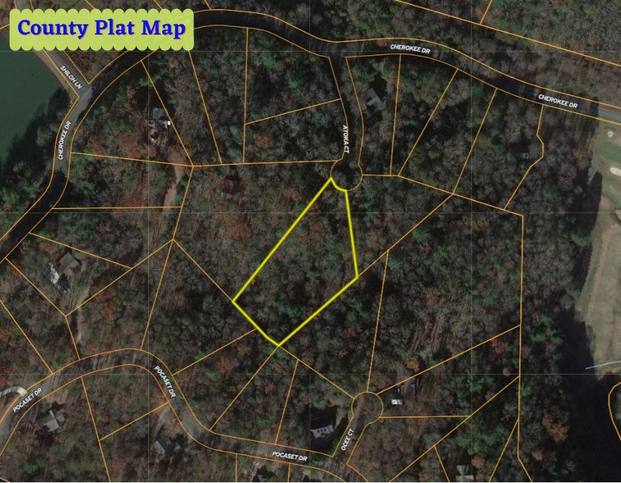 409481 Ellijay Land