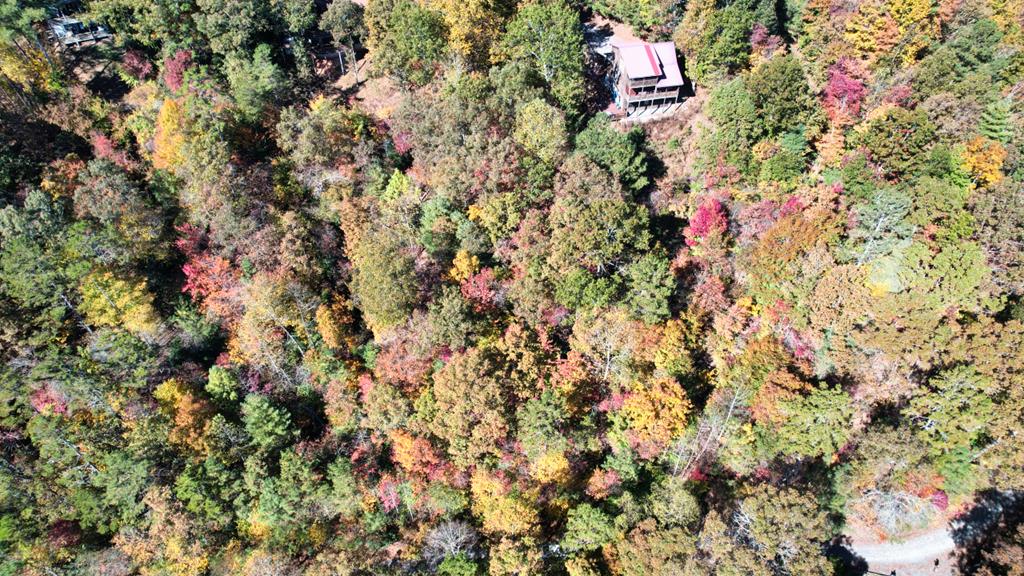 409486 Ellijay 