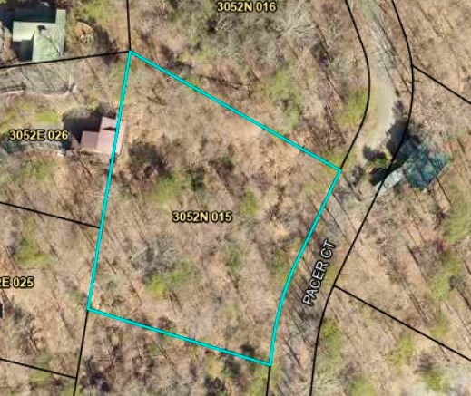 409486 Ellijay Land