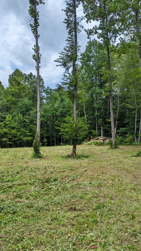 409491 Blairsville Land