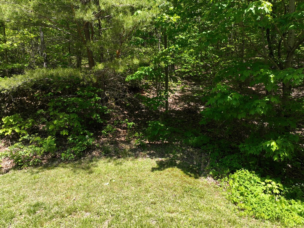 409526 Ellijay Land