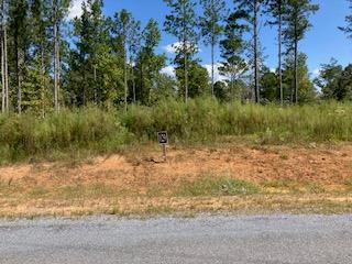 409558 Ellijay Land