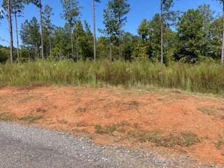 409558 Ellijay Land