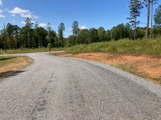 409558 Ellijay Land