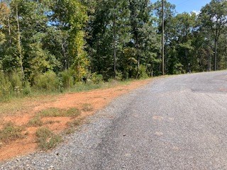 409558 Ellijay Land