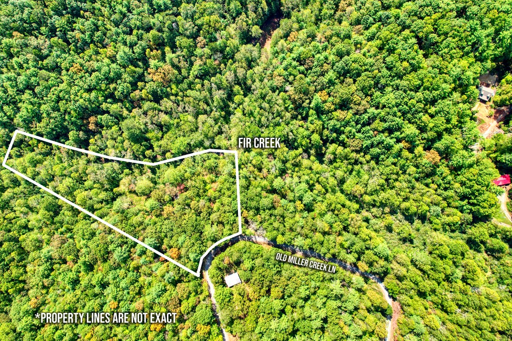 409581 Ellijay Land