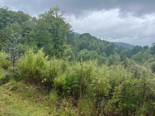 409584 Blairsville Land