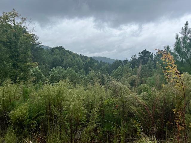 409584 Blairsville Land