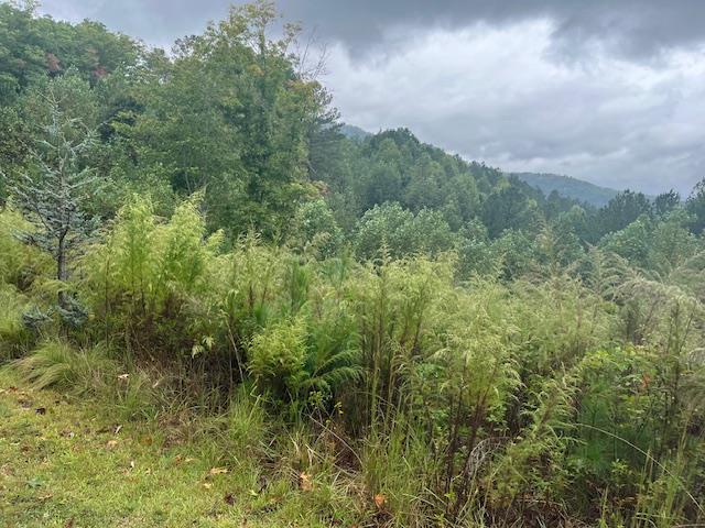 409584 Blairsville Land