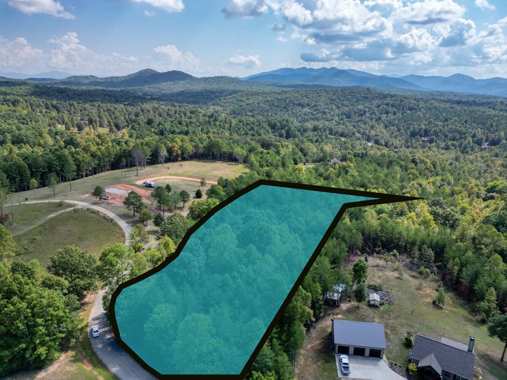 409599 Blairsville Land