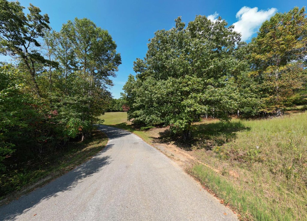 409599 Blairsville Land