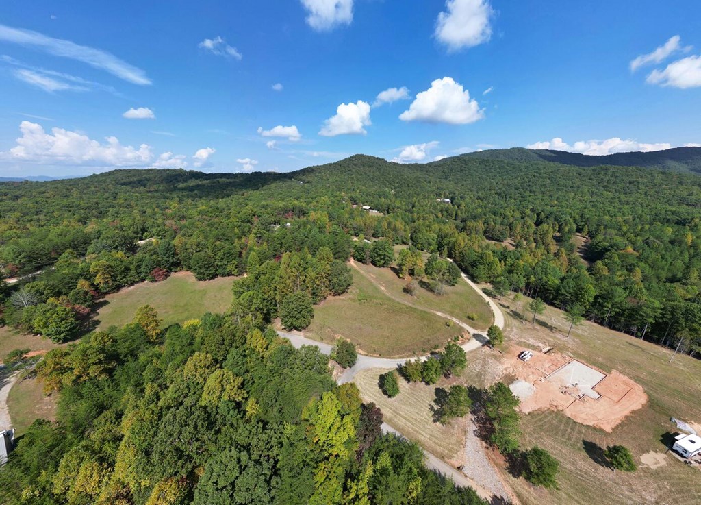 409599 Blairsville Land