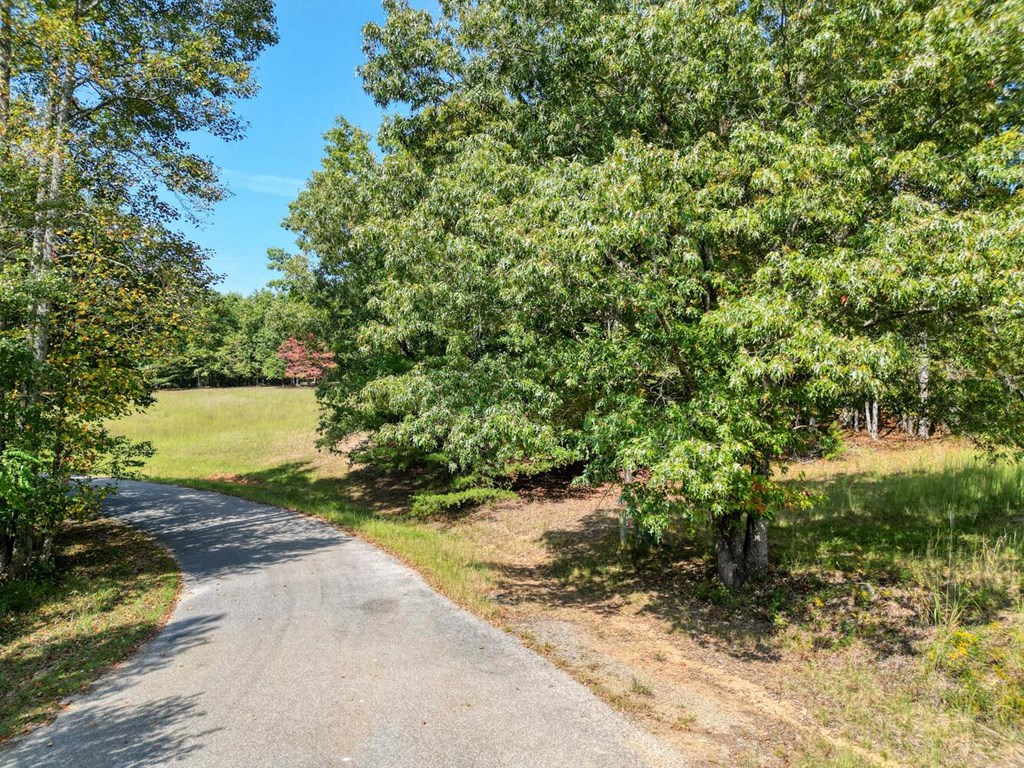 409606 Blairsville Land