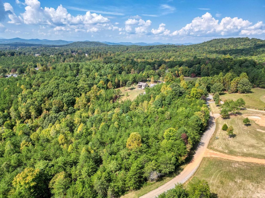 409606 Blairsville Land