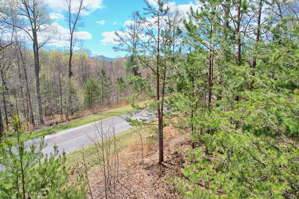 409620 Blairsville Land