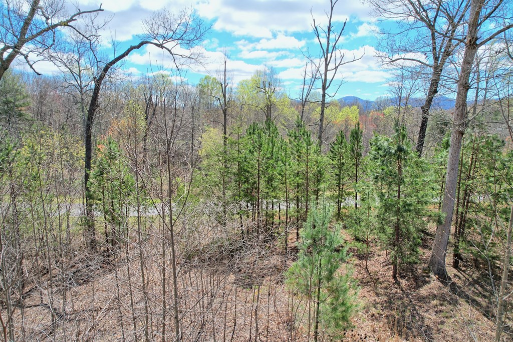 409620 Blairsville Land