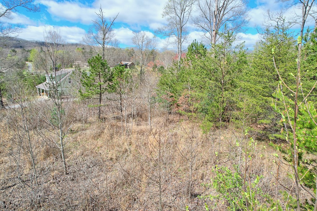 409620 Blairsville Land