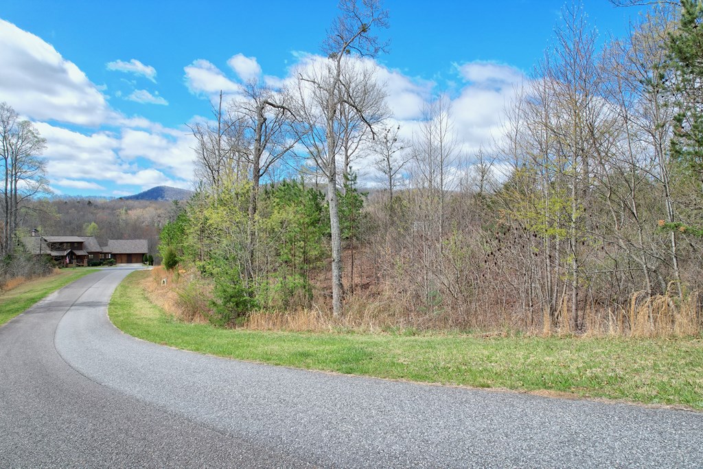 409620 Blairsville Land