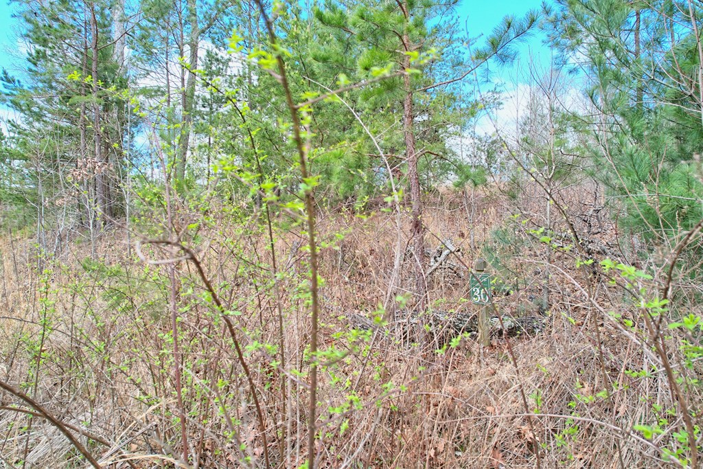 409620 Blairsville Land