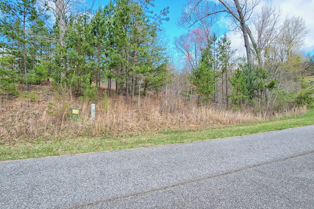 409620 Blairsville Land