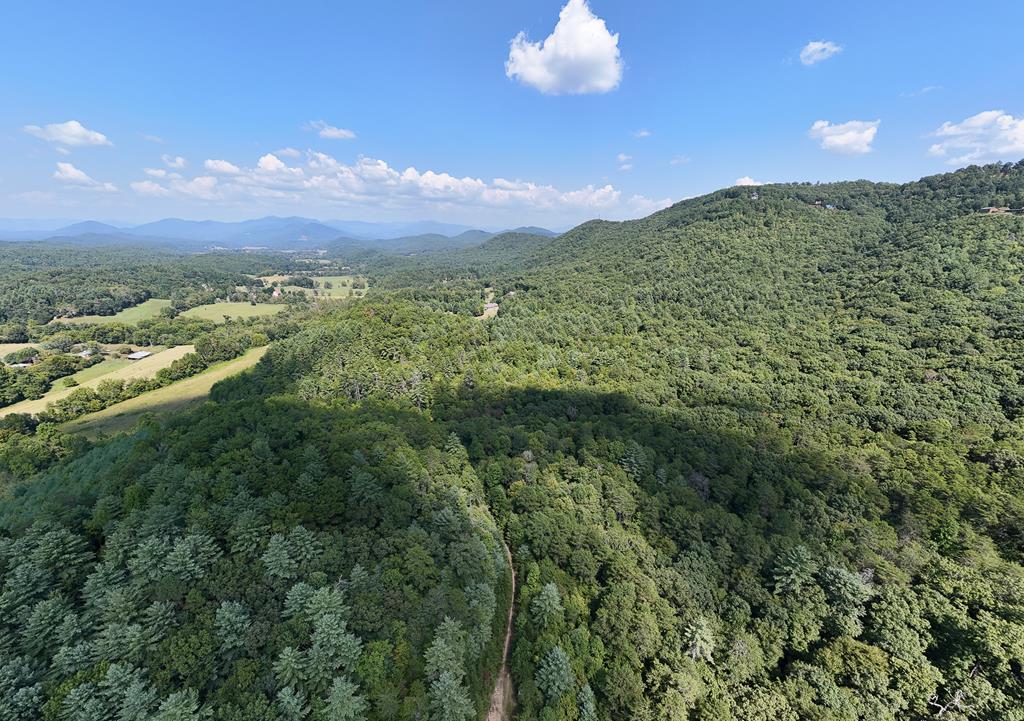 409631 Brasstown Land