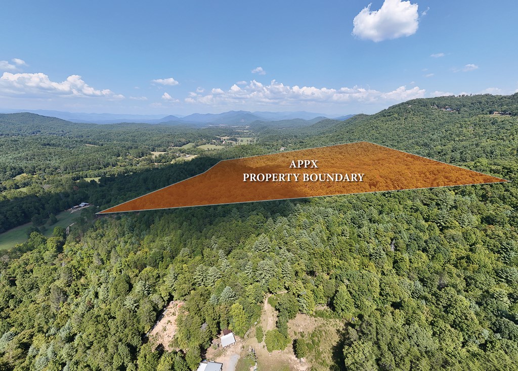 409631 Brasstown Land