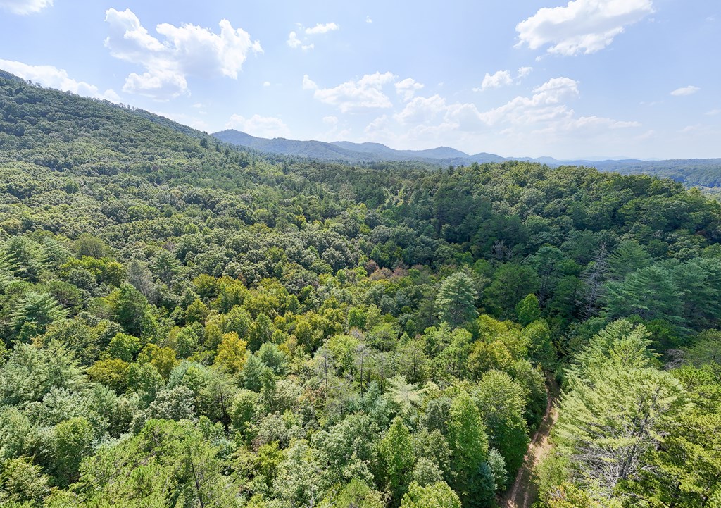 409631 Brasstown Land