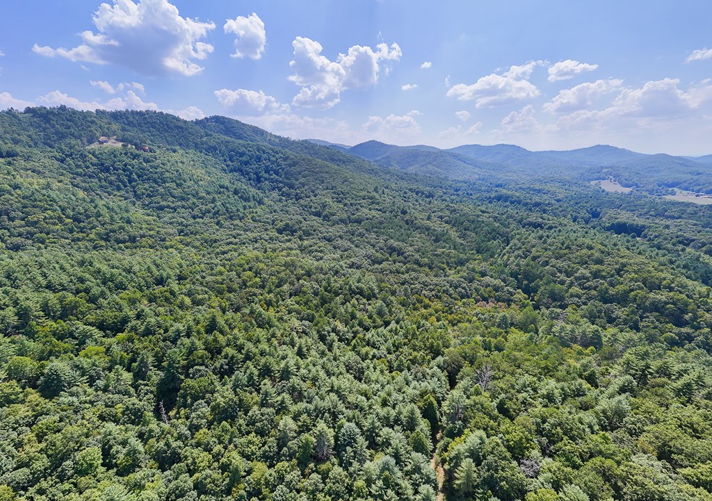 409631 Brasstown Land