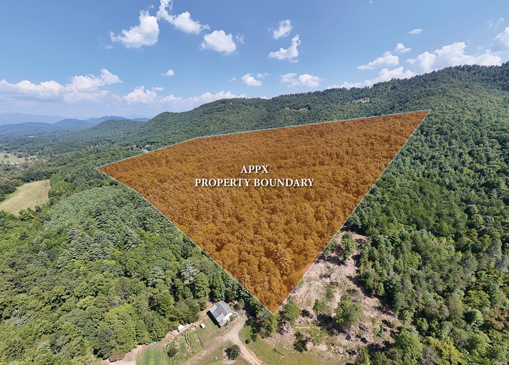 409631 Brasstown Land