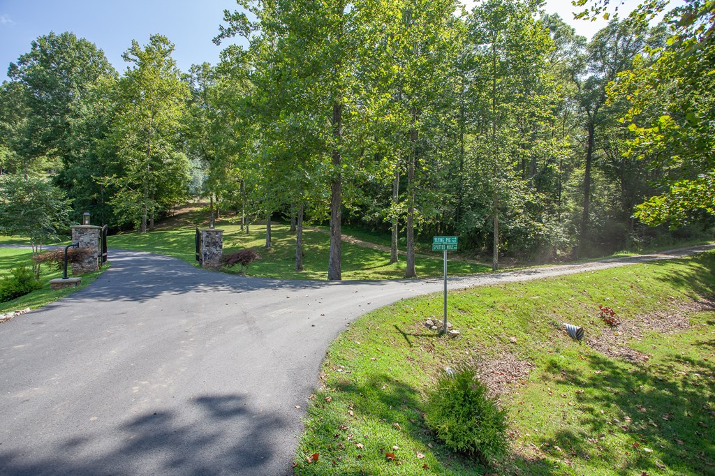 409631 Brasstown Land