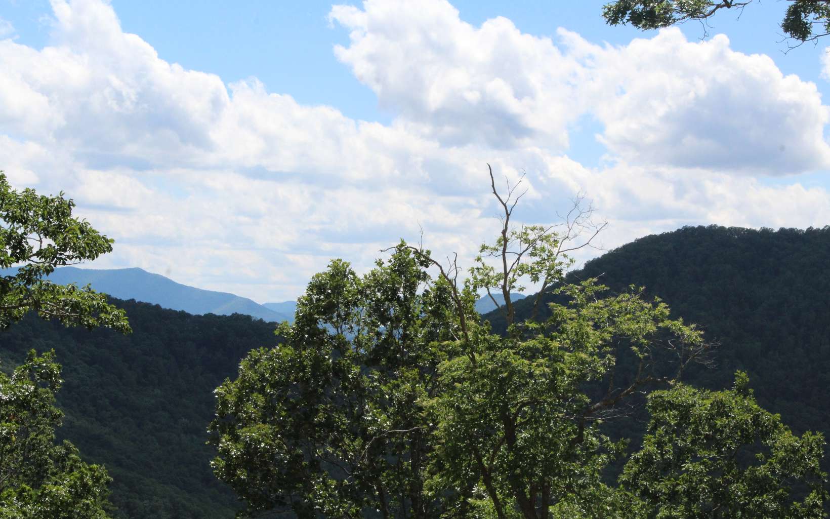 409661 Hayesville Land