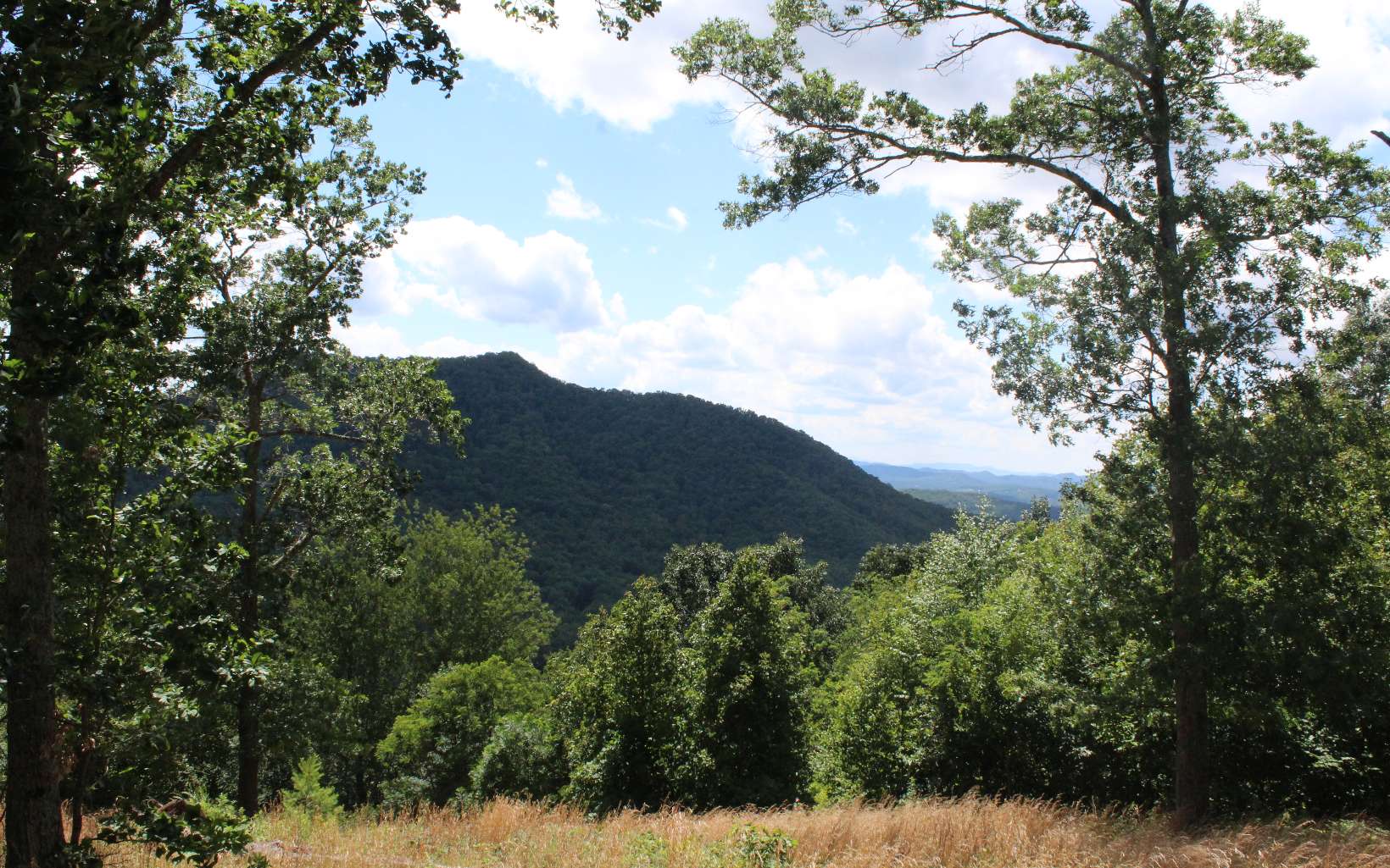 409662 Hayesville Land