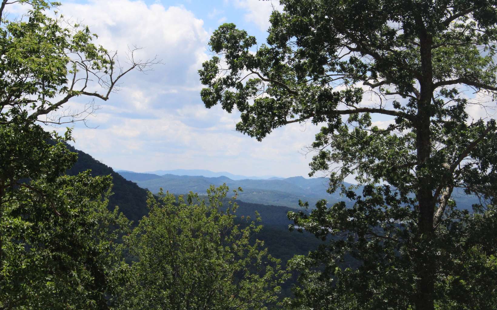 409662 Hayesville Land