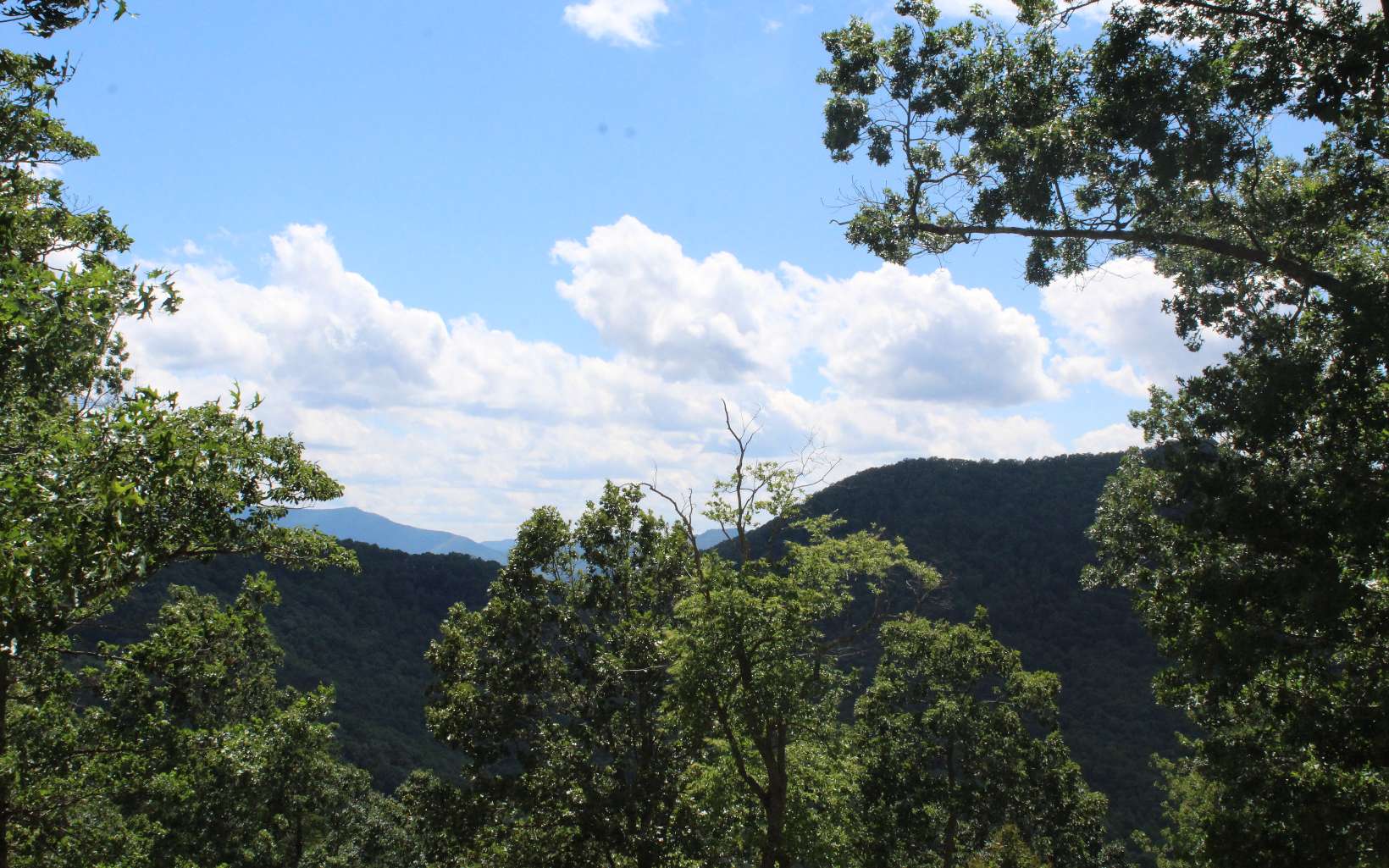 409662 Hayesville Land