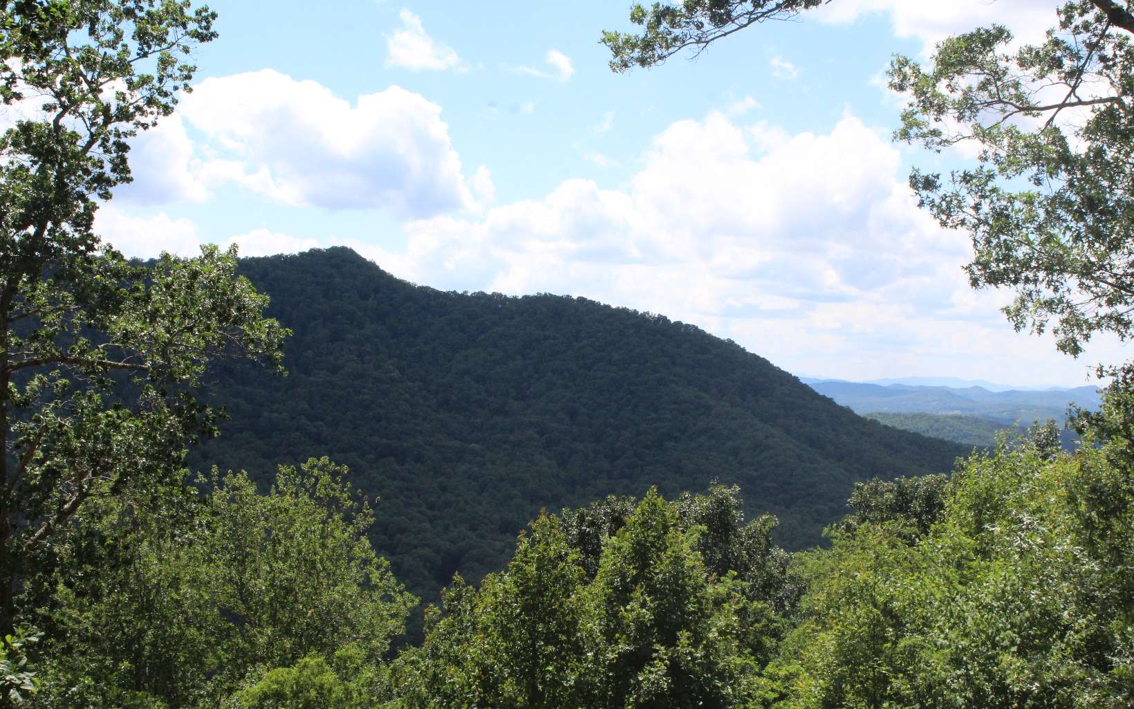 409662 Hayesville Land