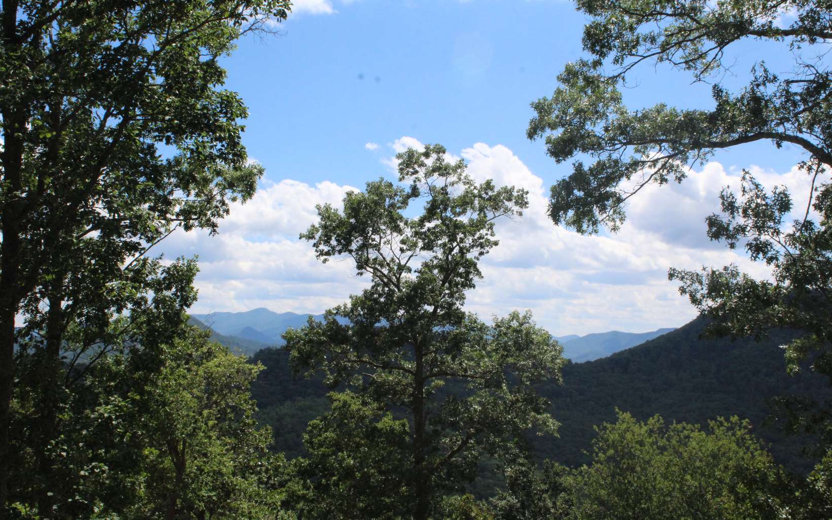 409662 Hayesville Land