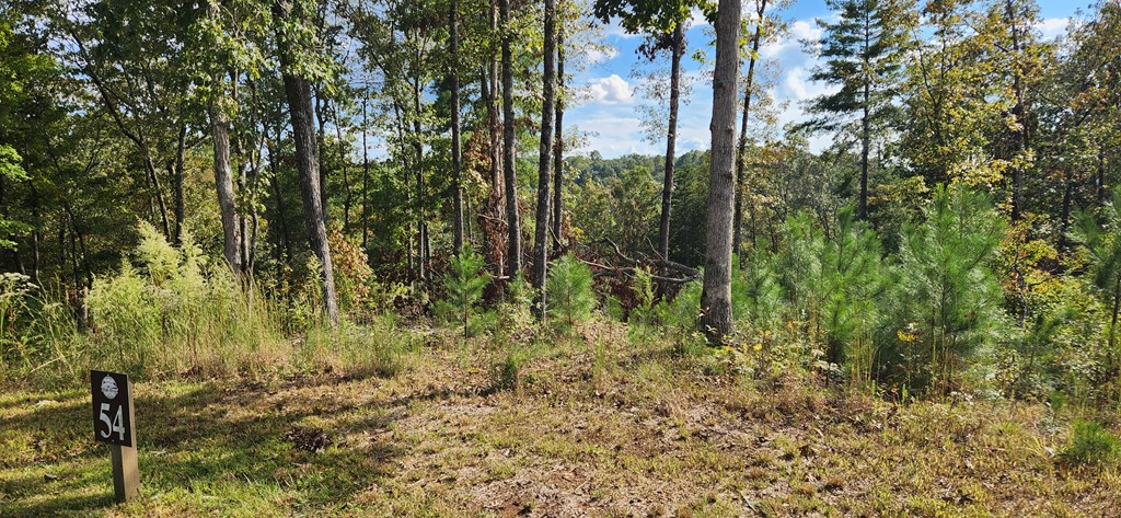 409664 Ellijay Land