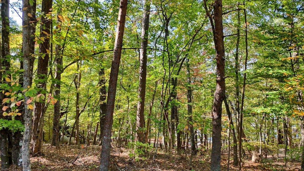 409672 Morganton Land