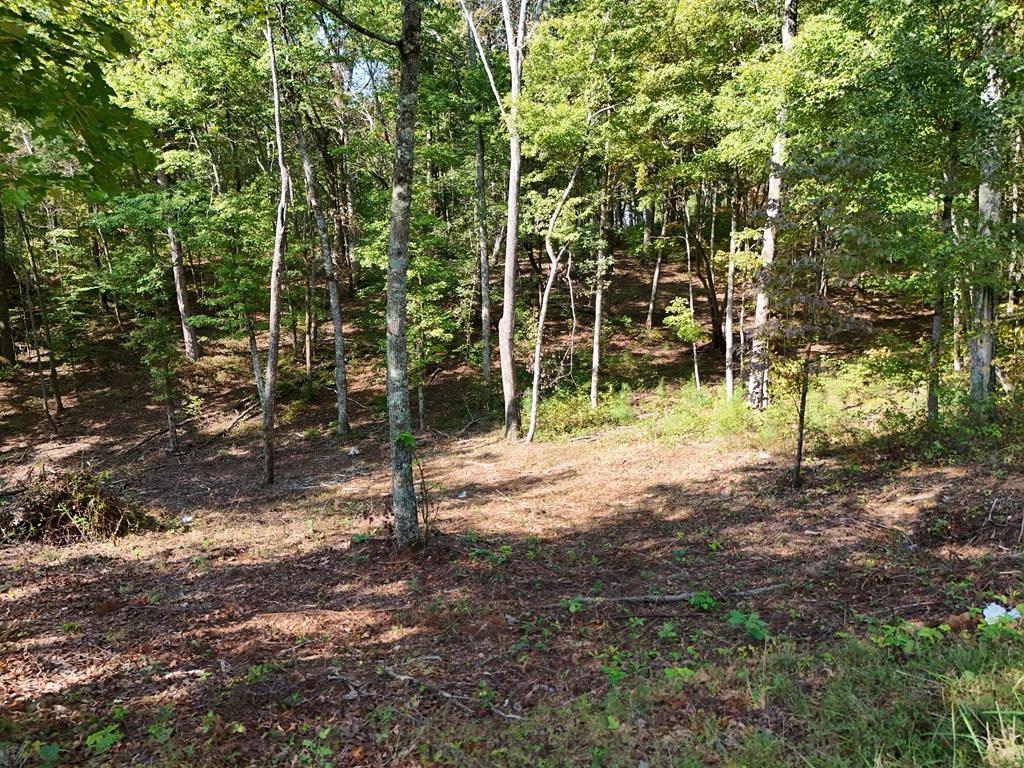 409675 Ellijay Land