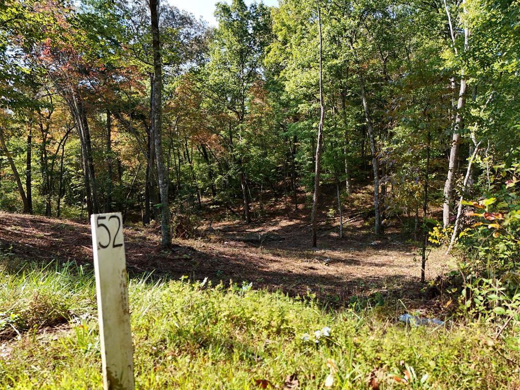 409675 Ellijay Land