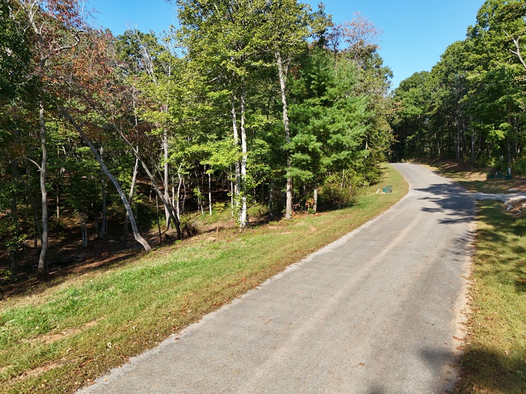 409675 Ellijay Land