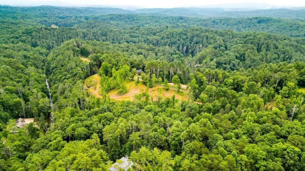 409681 Ellijay Land