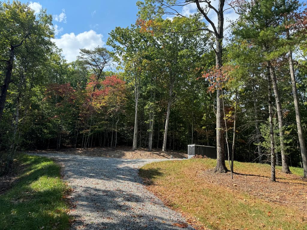 409682 Blairsville Land