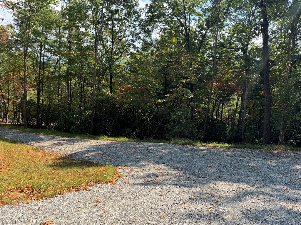 409682 Blairsville Land