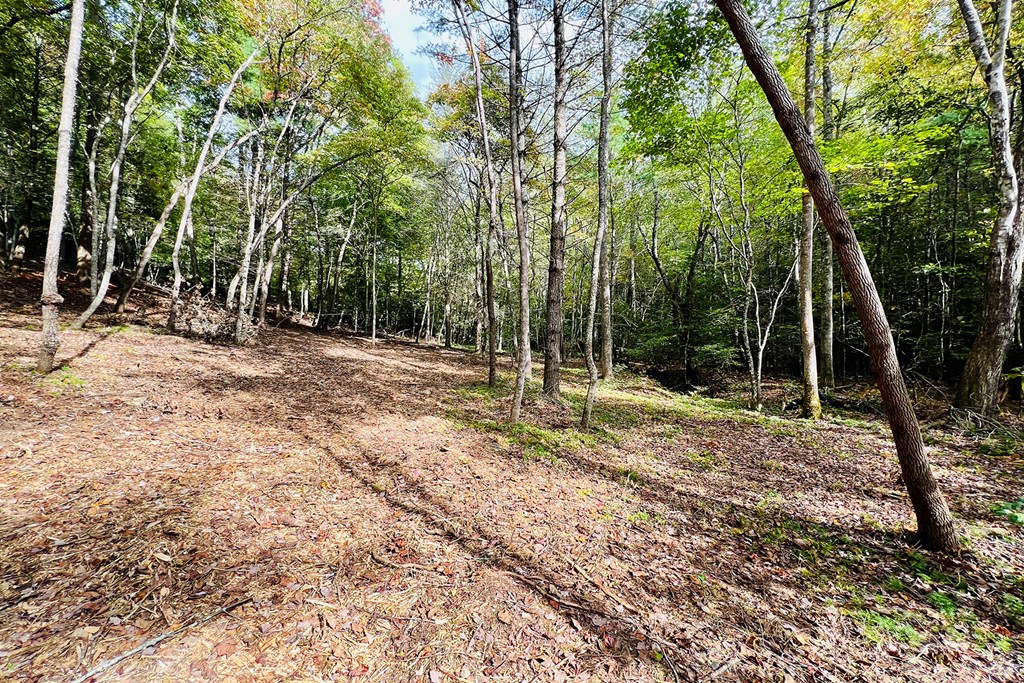 409697 Morganton Residential