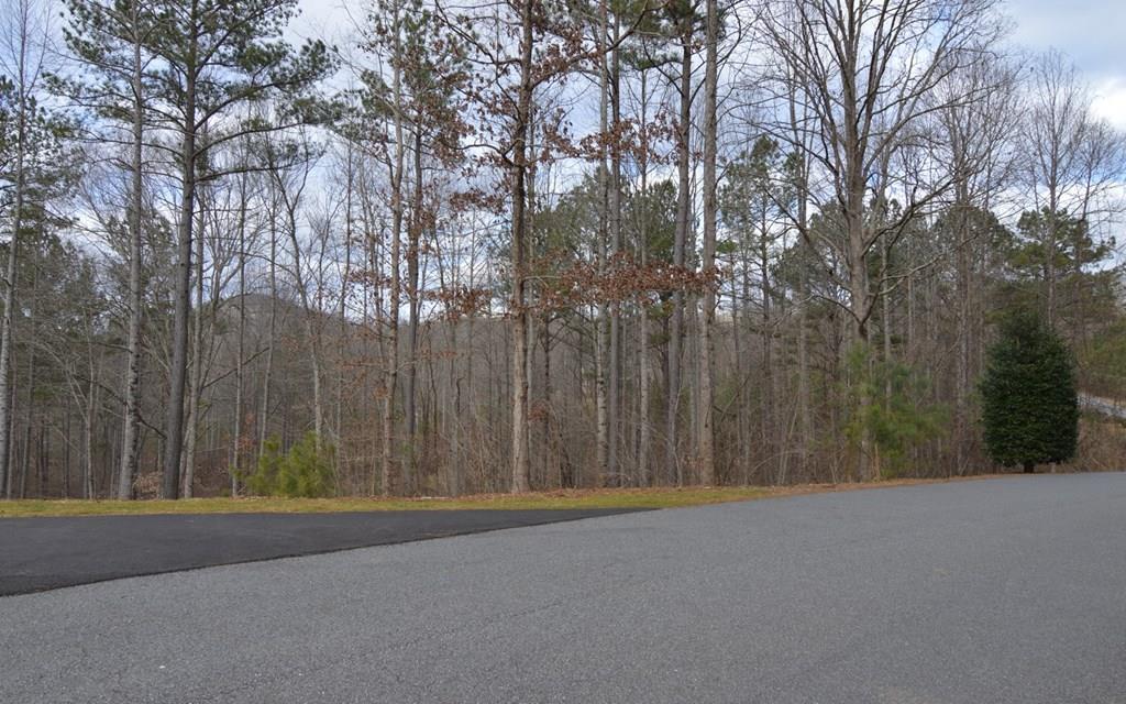 409702 Young Harris Land