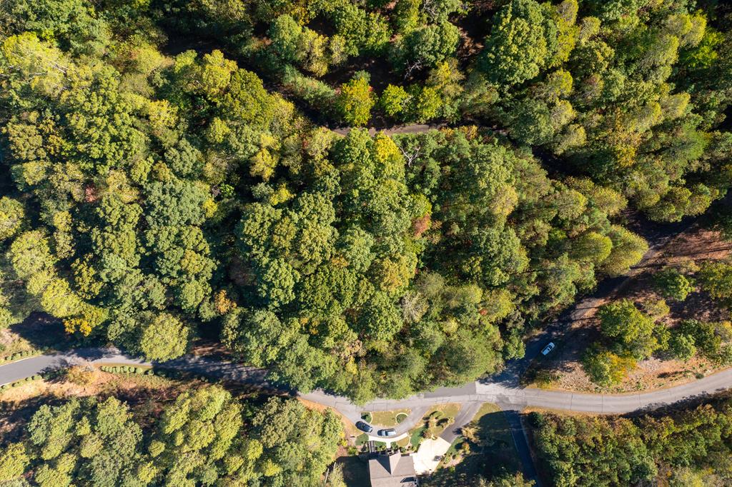 409702 Young Harris Land